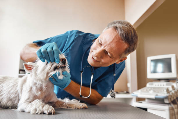 Best Emergency Broken Tooth Repair in Harlem, GA